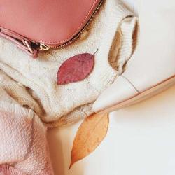 Occasion Elles