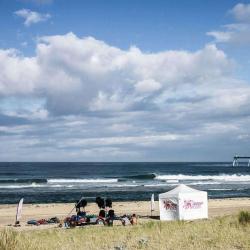 Ocean Roots