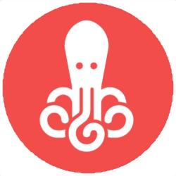 Octopulse - Boostez Votre Acquisition Digitale