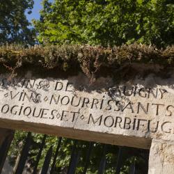 Office De Tourisme Beaune & Pays Beaunois - Antenne De Savigny Les Beaune