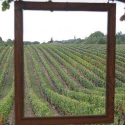 Office De Tourisme Du Vignoble De Fronton