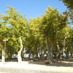 Office De Tourisme