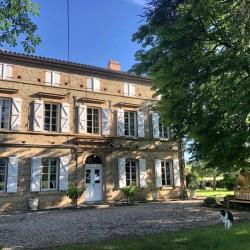 Office Du Tourisme De Cordes-sur-ciel