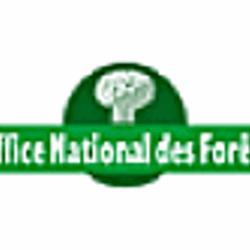 Office National Des Forêts