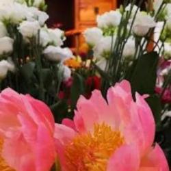 Oh Des Fleurs