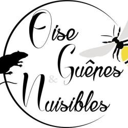 Oise Guêpes