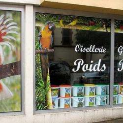 Oisellerie Poids Plume
