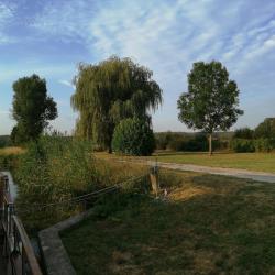 Oisilly