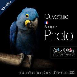 Olive White Photographies