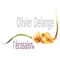 Olivier Delange L'écosalon