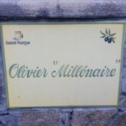Olivier Millénaire
