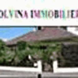 Olvina Immobilier