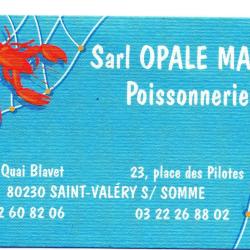 Opale Marée
