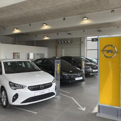 Opel Saint Maximin - Groupe Riester