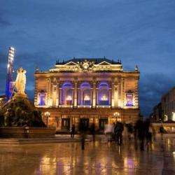 Opera Comedie
