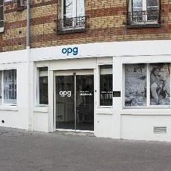 Opg