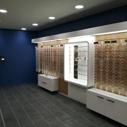 Optic 2000
