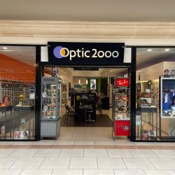 Optic 2000