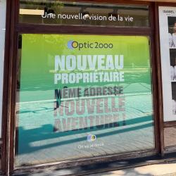 Optic 2000