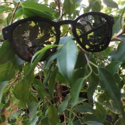 Opticien Eye View