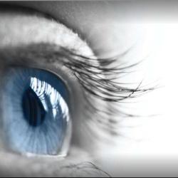 Optique Thiers