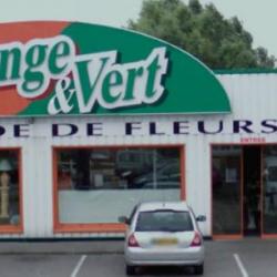 Orange Et Vert