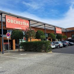 Orchestra