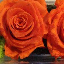 Orfleurs