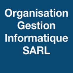 Organisation Gestion Informatique