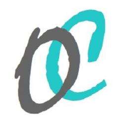 Organiz Conseil