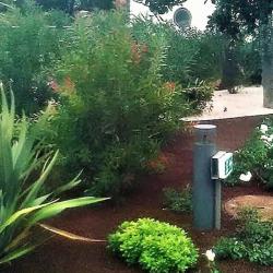 Oriti-niosi Jardin