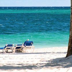 Orsini Var Immobilier