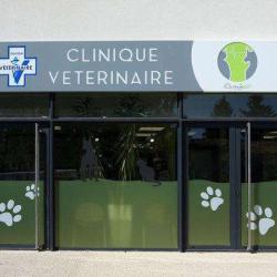 Orthovet - Boulet Thierry