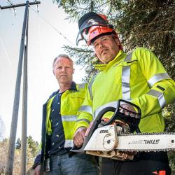 Oslo Treservice - Trefelling Og Trepleie Ekspert