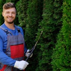 Oslo Treservice - Trefelling Og Trepleie Ekspert