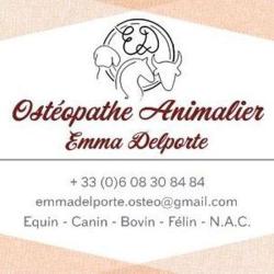 Ostéopathe Pour Animaux, Emma Delporte