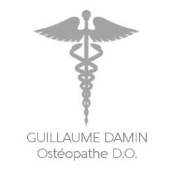 Guillaume Damin