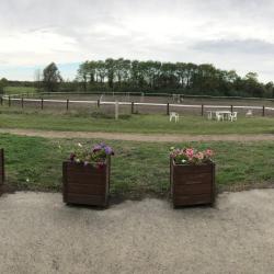 Oxer De Bellevue