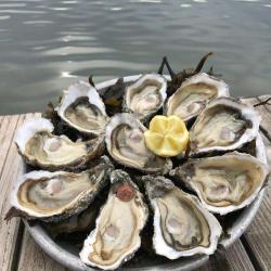 Oyster Bar