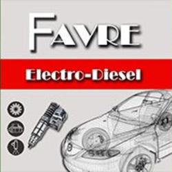 P. Favre Delphi Diesel Servuce Auto
