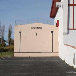 Pachkoenia