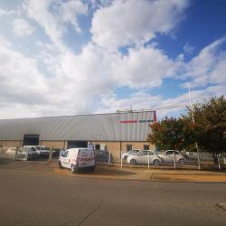 Pack Tole - Bosch Car Service