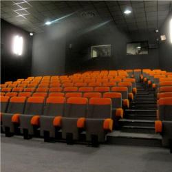 Cinéma Le Palace
