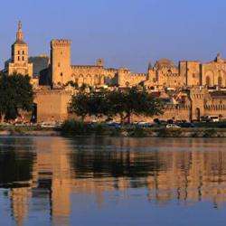 Palais Des Papes