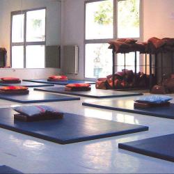 Palestra Clubs