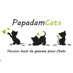 Papadamcats