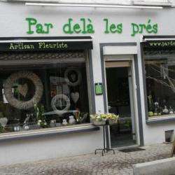 Par Delà Les Prés