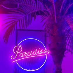 Paradise, Plant Based Street Kitchen
