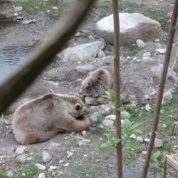 Parc Animalier