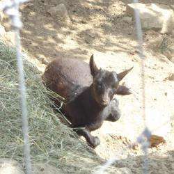 Parc Animalier